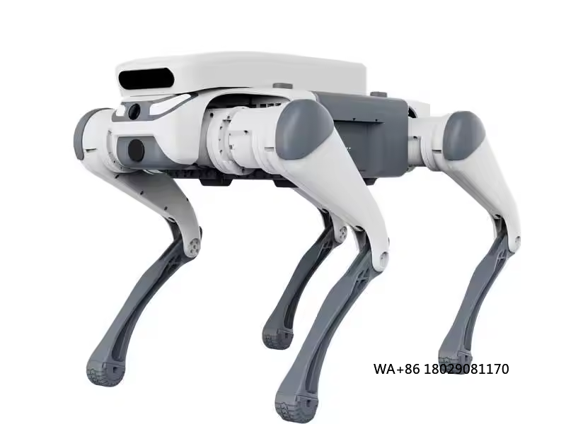 Dog Toys - Juguete educativo con control remoto para