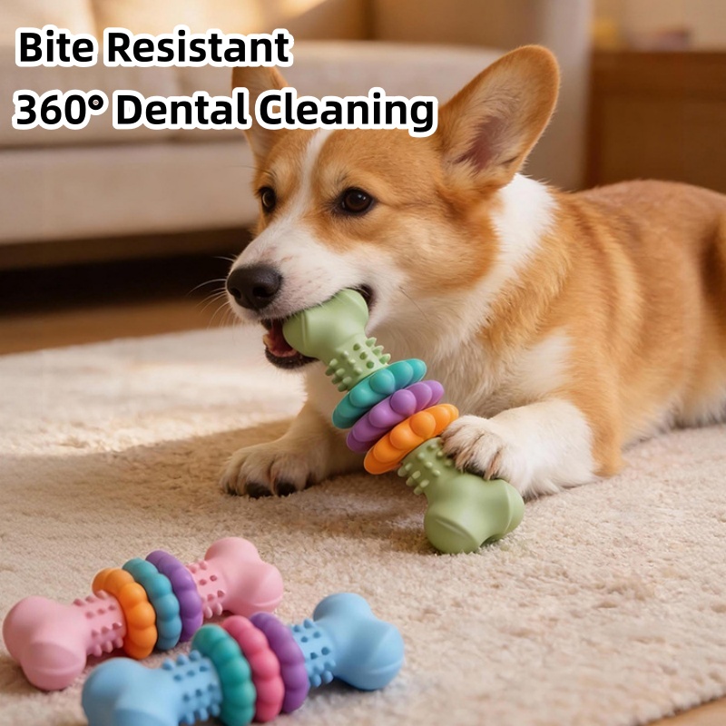 Teeth Cleaning Dog Chew Bone - Juguete Masticable Duradero de TPR para