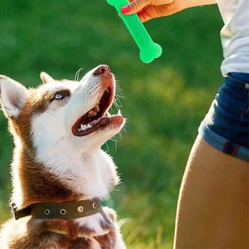 Teeth Cleaning Dog Chew Bone - Juguete para masticar hueso de perro