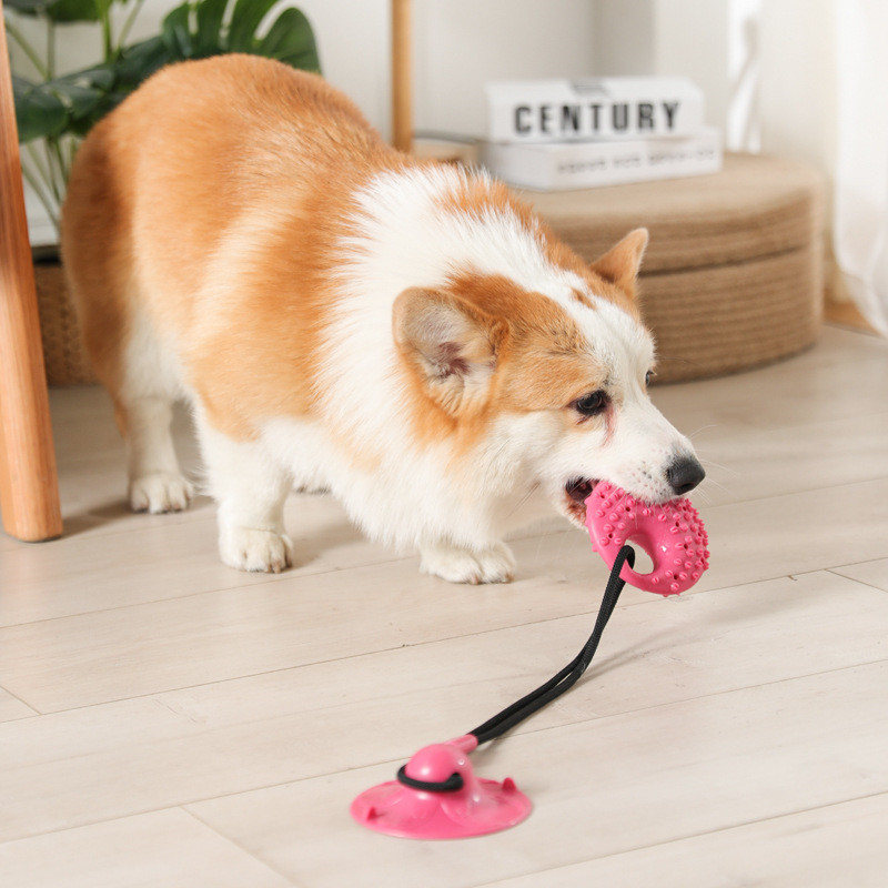 Suction Cup Dog Tug Toy - Juguetes para perros con ventosa de