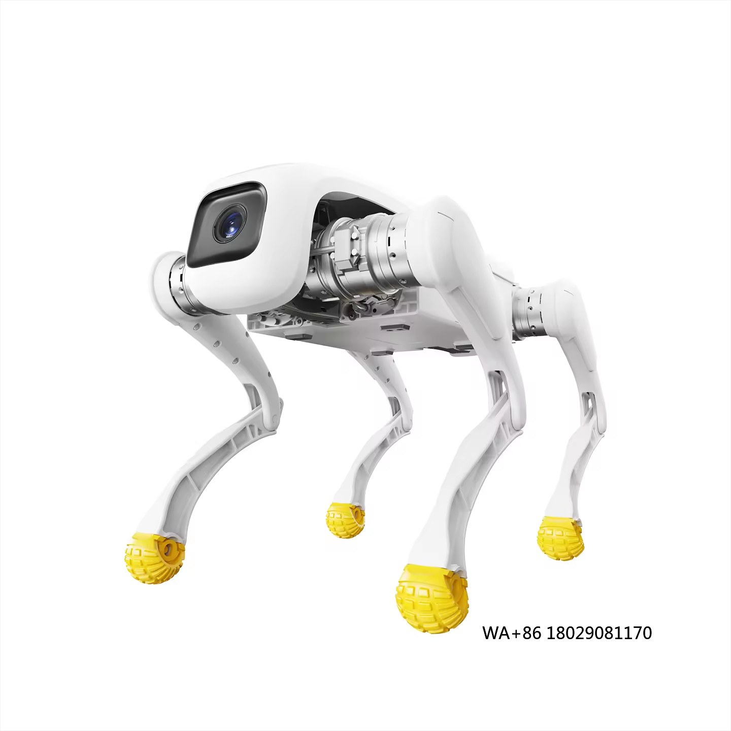 Dog Toys - Robot para perros de diseño, juguete