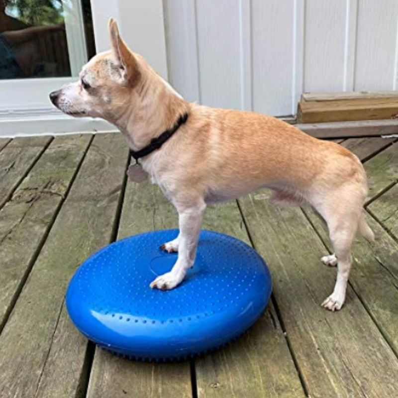 Flying Disc Dog Training Toy - Ayuda de entrenamiento para perros, platillo