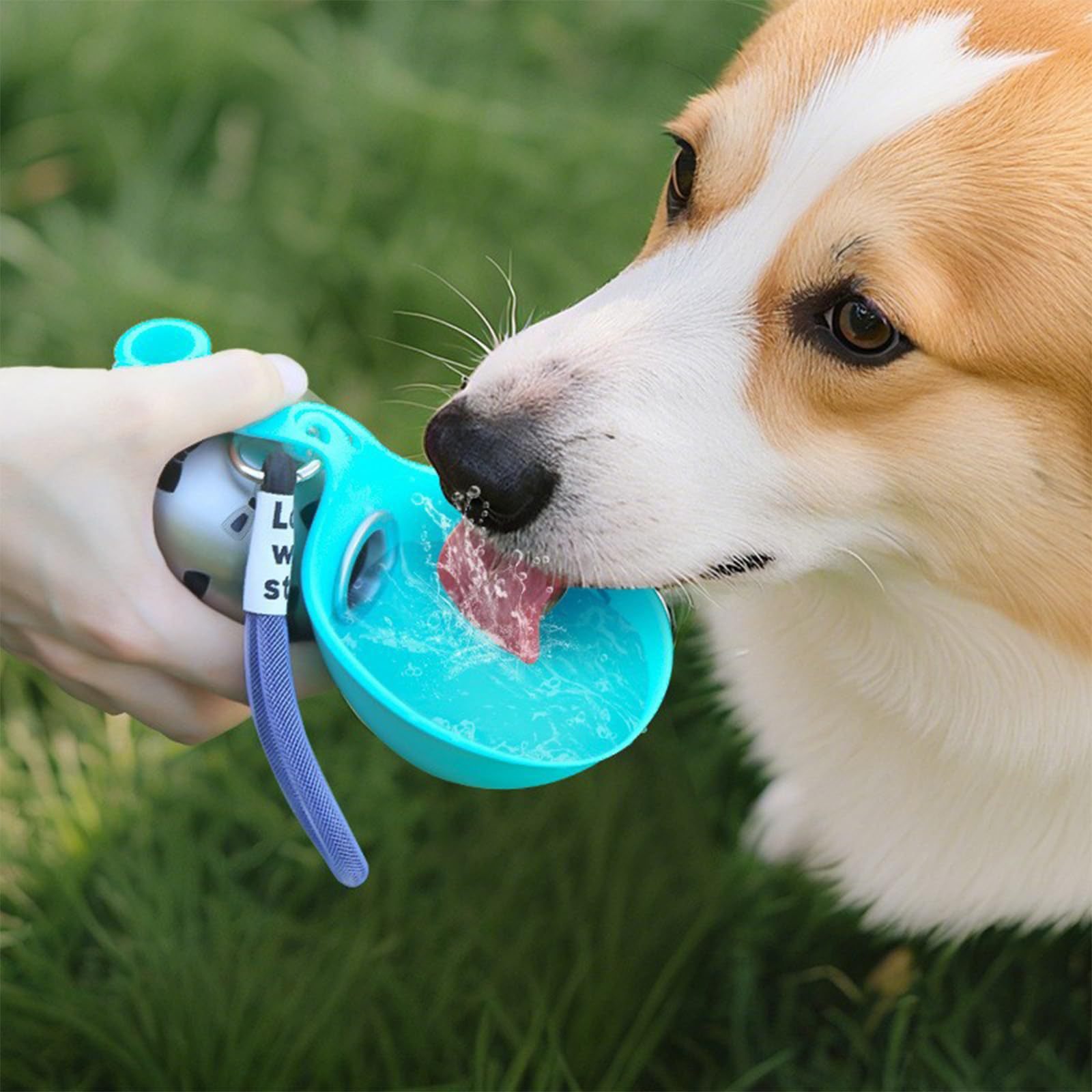 Pet Feeders - Dispensador de agua portátil de silicona