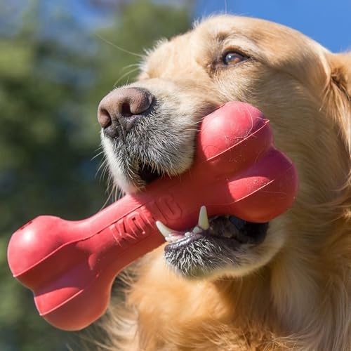 Rubber Treat Dispensing Dog Toy - Hueso de Goma Natural Clásico y
