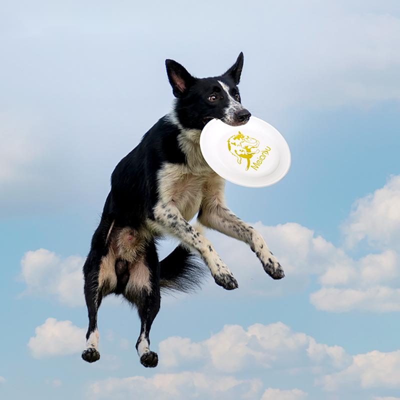 Flying Disc Dog Training Toy - OUZEY-disco volador para entrenamiento de mascotas,