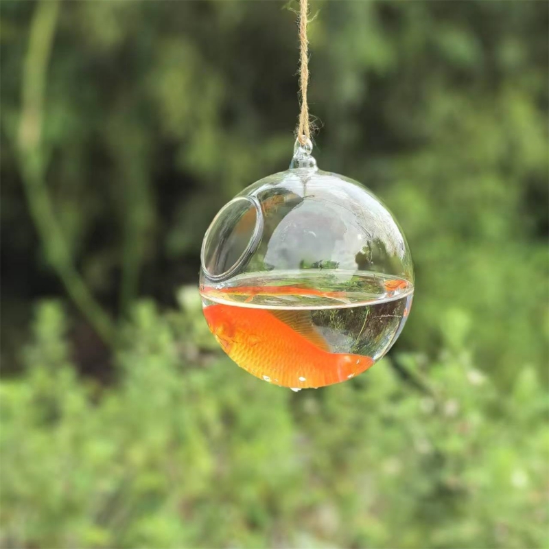 Aquarium - Terrario de Vidrio Transparente de Diámetro