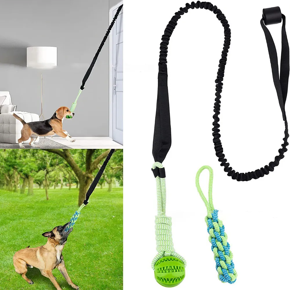 Suction Cup Dog Tug Toy - Juguete interactivo para perros Tug of