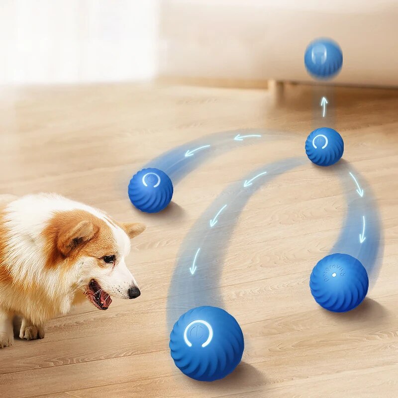 Suction Cup Dog Tug Toy - Juguetes para perros, pelota inteligente para
