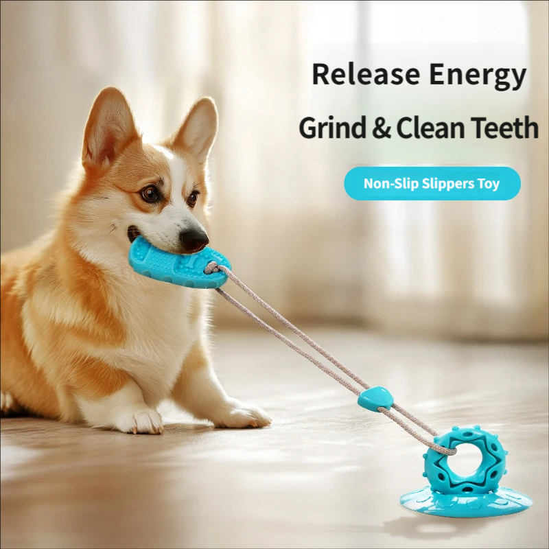 Suction Cup Dog Tug Toy - Juguete de arrastre para perros con
