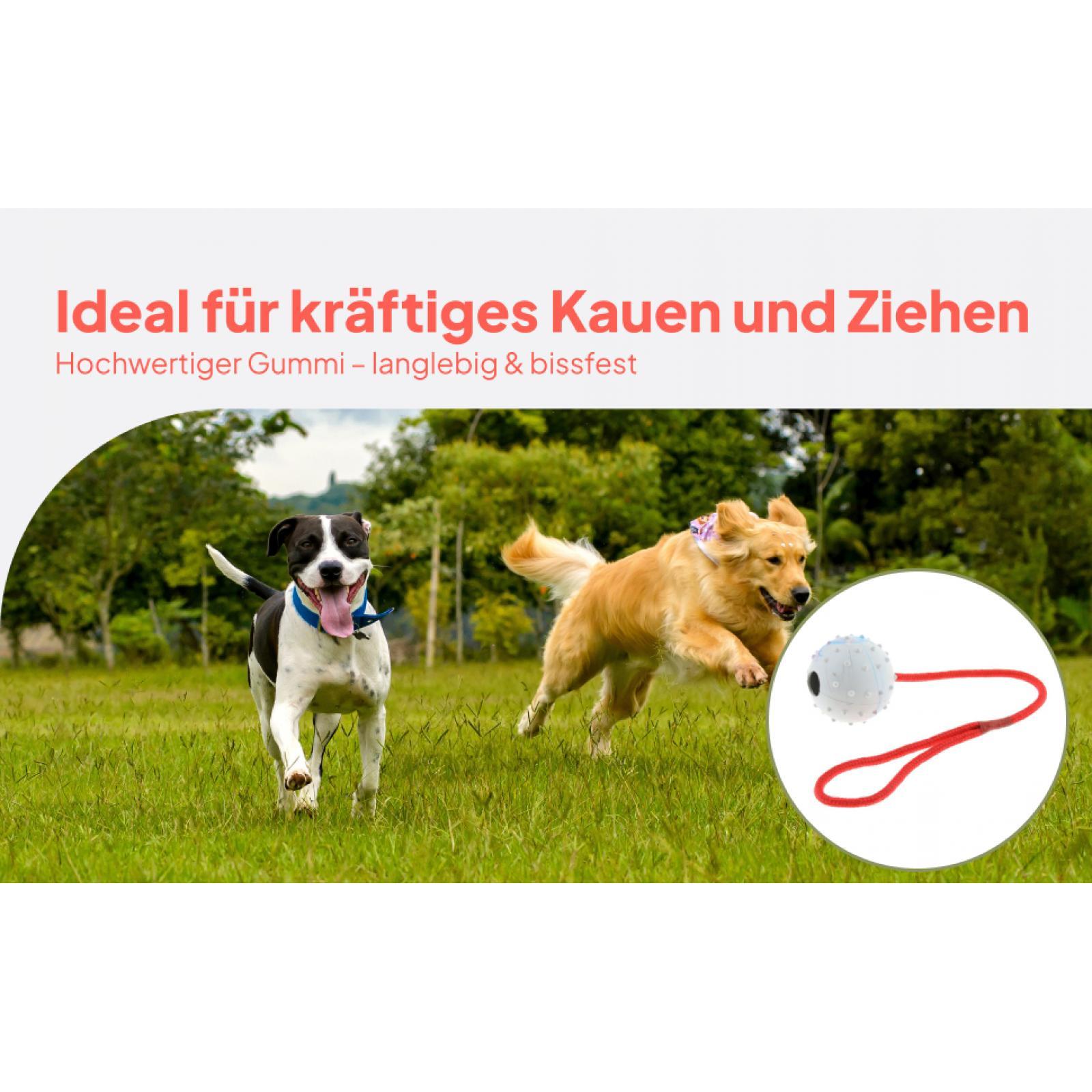 Rubber Treat Dispensing Dog Toy - Juguete de Entrenamiento para Mascotas, Pelota