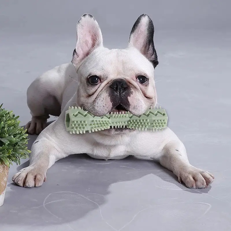 Cepillo de dientes para perros - Indestructible Dog Chew Toy reseña y precio