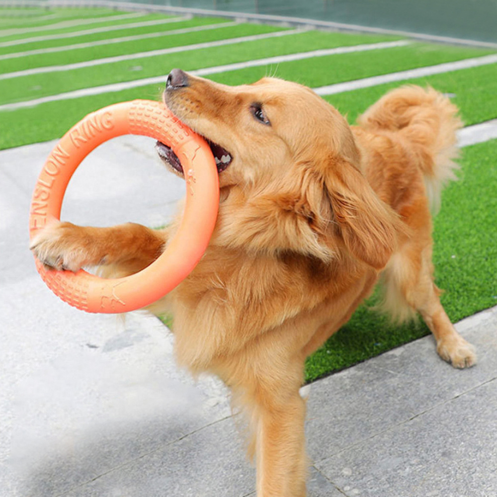 Tirador de anillo de entrenami - Interactive Squeaky Plush Dog Toy reseña y precio