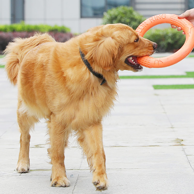 Tirador de anillo de entrenami - Interactive Squeaky Plush Dog Toy reseña y precio