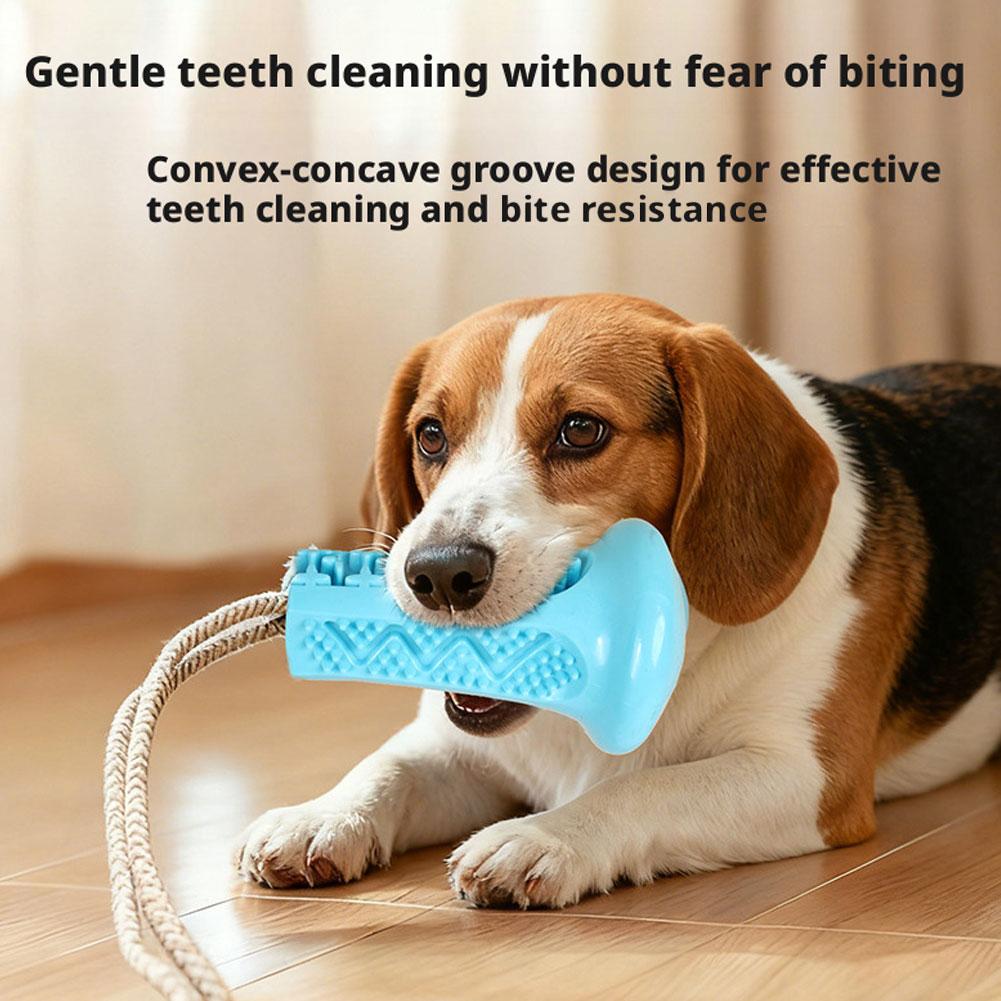 Juguete Masticable para Perros - Suction Cup Dog Tug Toy reseña y precio