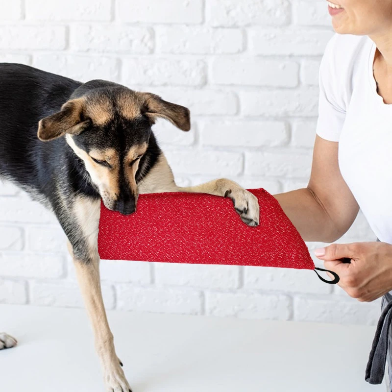 Mangas de entrenamiento para p - Interactive Squeaky Plush Dog Toy reseña y precio