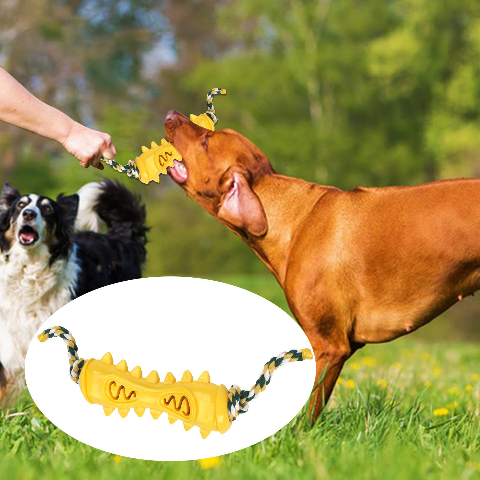 Juguetes para masticar para ma - Dog Rope Toy Aggressive Chewers reseña y precio