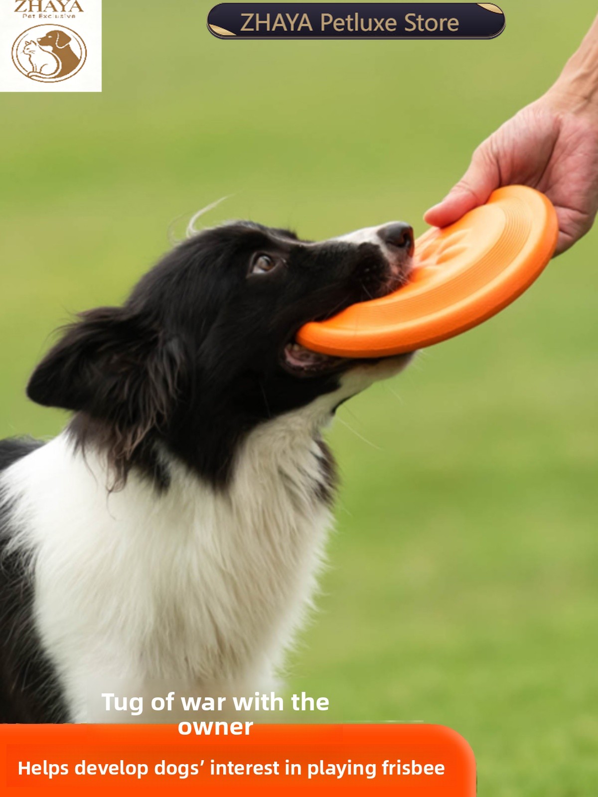 Disco Volador para Perros, Sua - Flying Disc Dog Training Toy reseña y precio