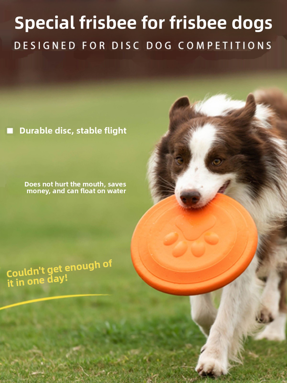 Disco Volador para Perros, Sua - Flying Disc Dog Training Toy reseña y precio