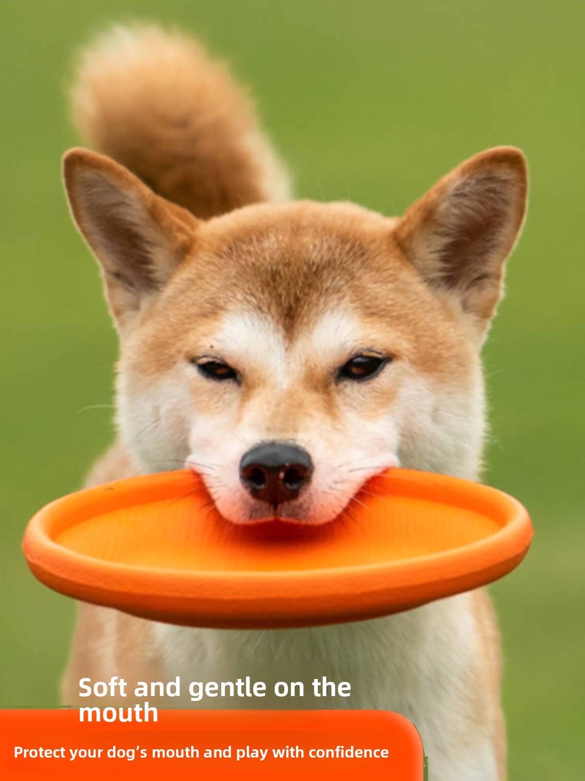 Disco Volador para Perros, Sua - Flying Disc Dog Training Toy reseña y precio