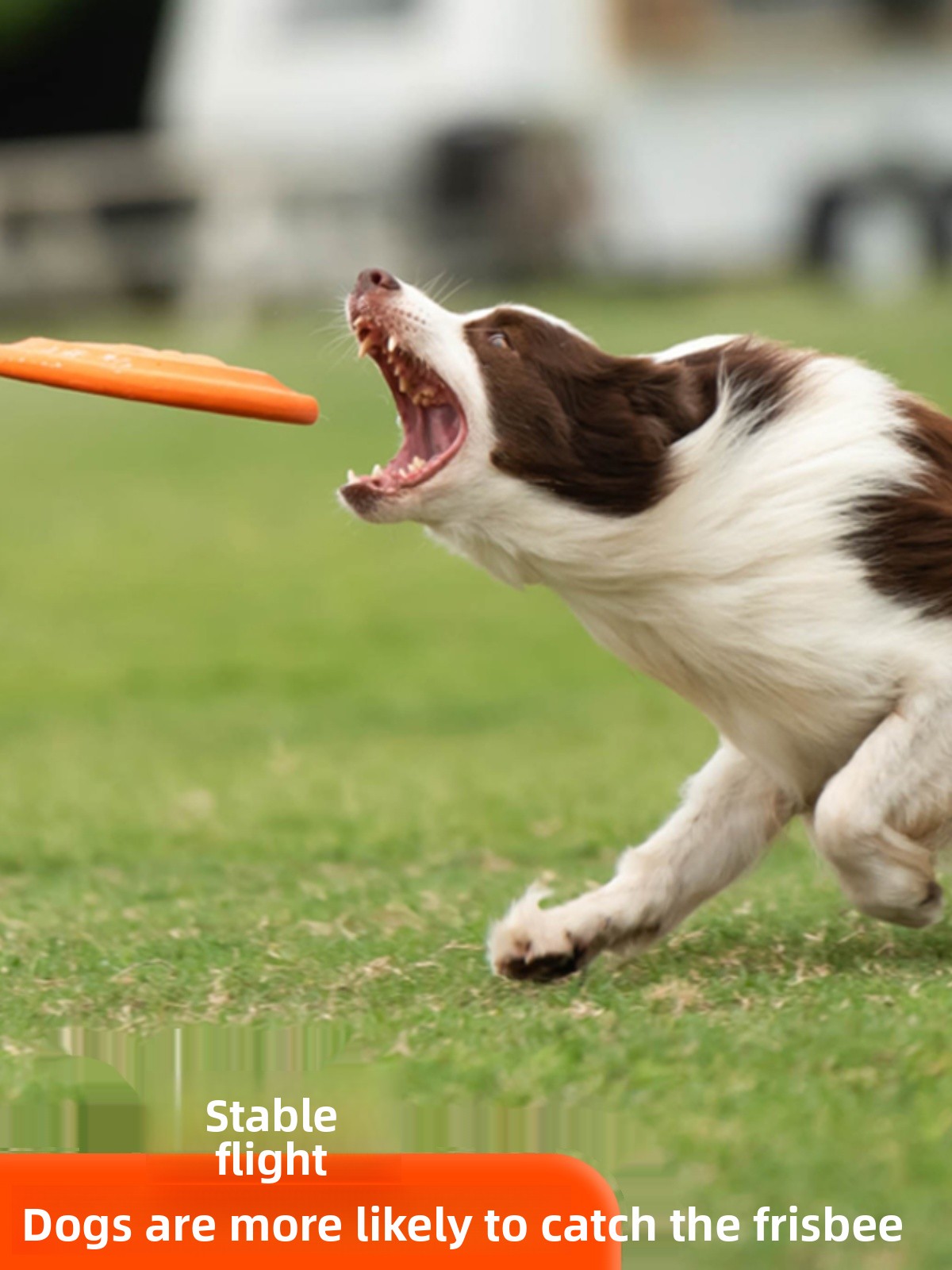 Disco Volador para Perros, Sua - Flying Disc Dog Training Toy reseña y precio