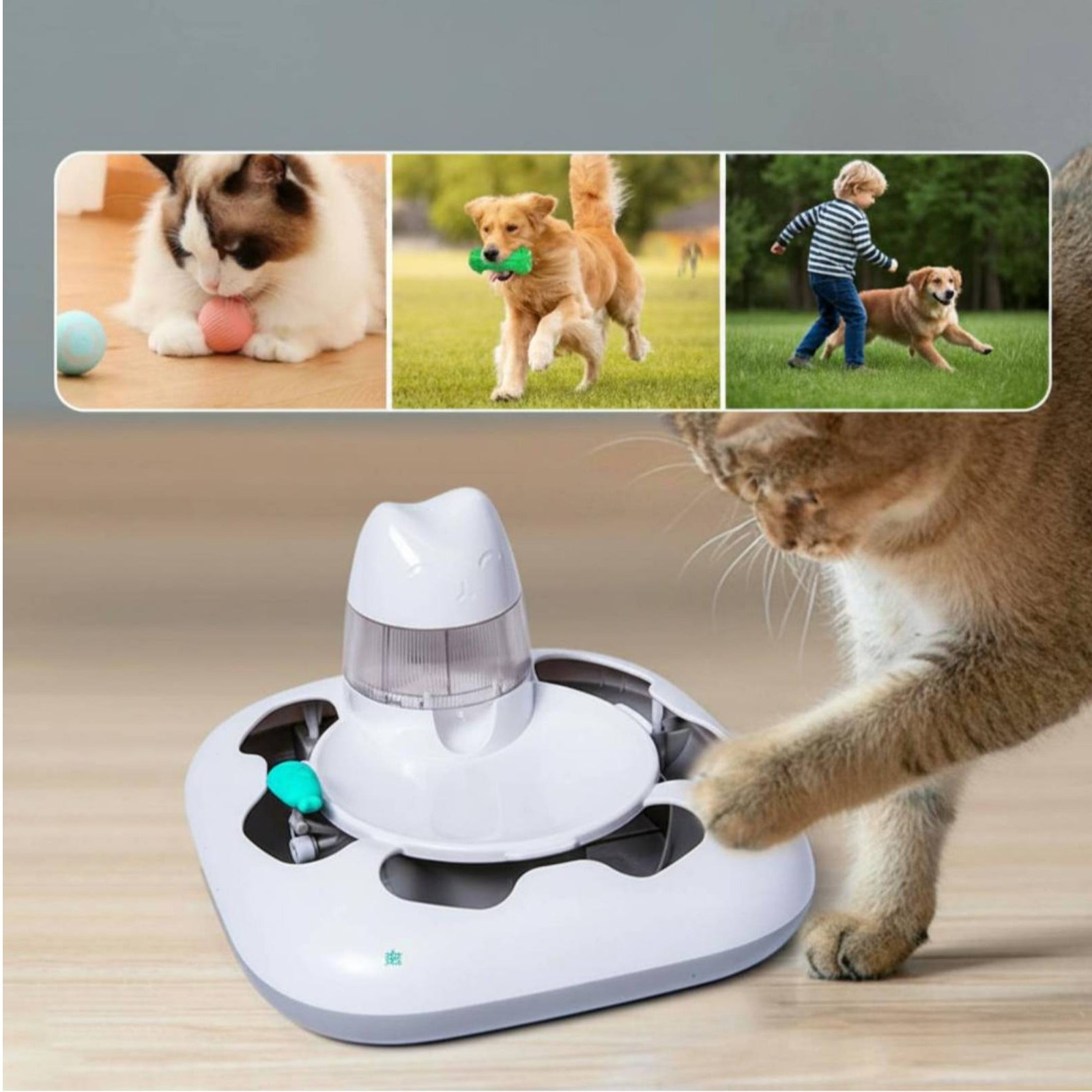 Máquina de Juego Interactiva p - Cat Toys reseña y precio