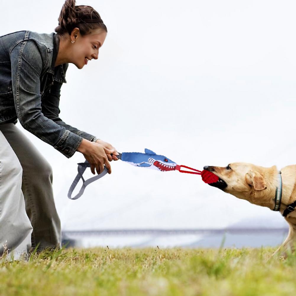 Juguete de Cuerda con Forma de - Suction Cup Dog Tug Toy reseña y precio