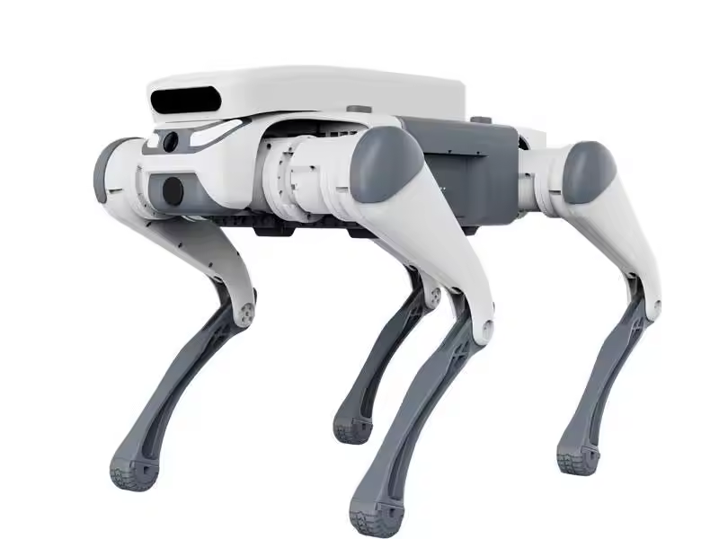 Juguete educativo con control  - Dog Toys reseña y precio