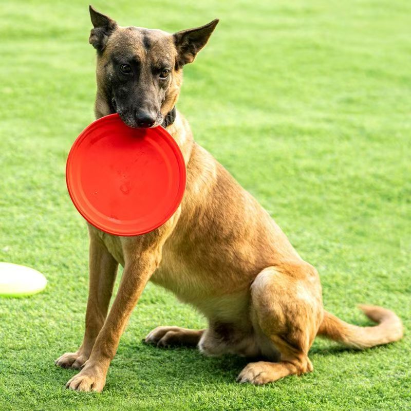 Frisbee de Plástico Duro para  - Flying Disc Dog Training Toy reseña y precio