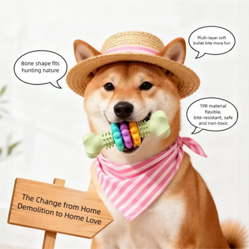 Juguete Masticable Duradero de - Teeth Cleaning Dog Chew Bone reseña y precio