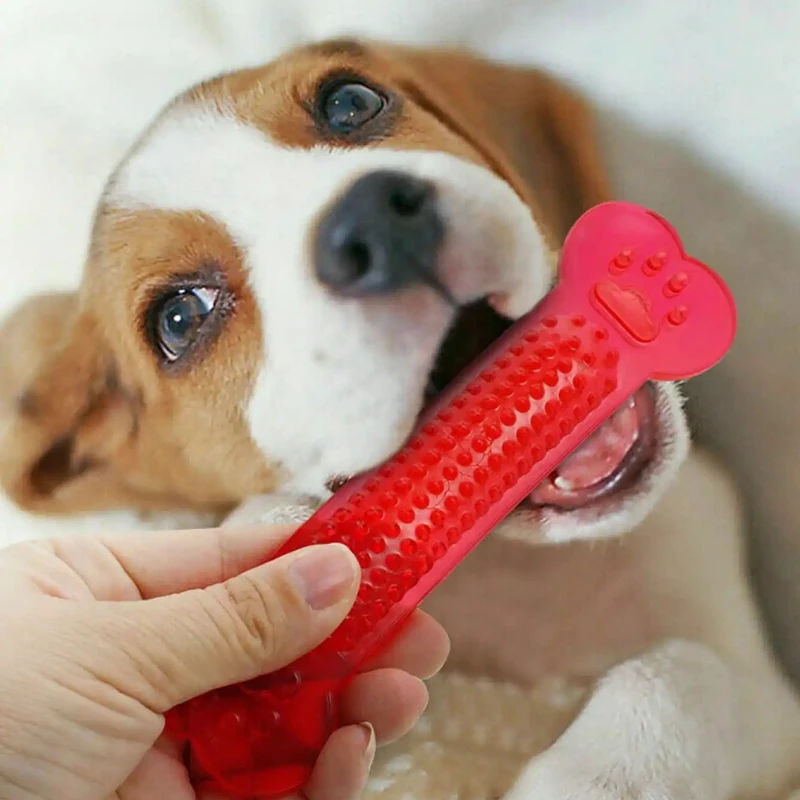 Juguete para masticar hueso de - Teeth Cleaning Dog Chew Bone reseña y precio