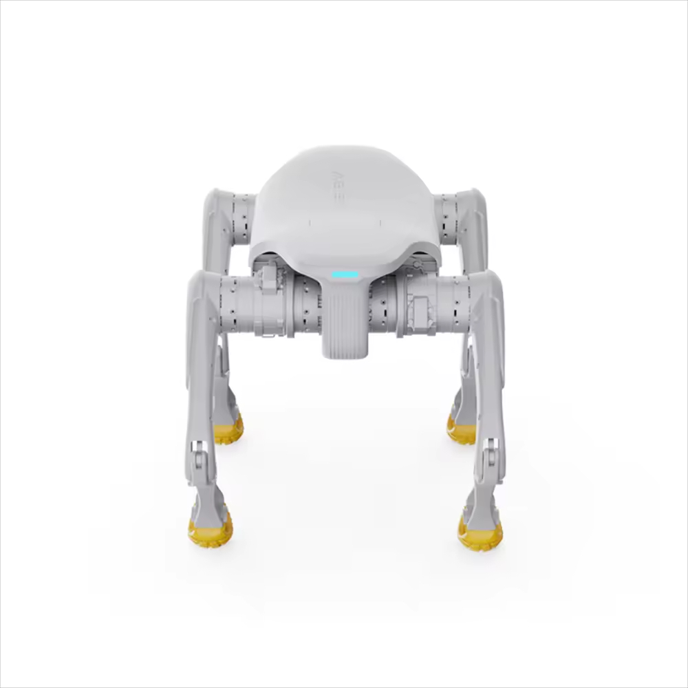 Robot para perros de diseño, j - Dog Toys reseña y precio