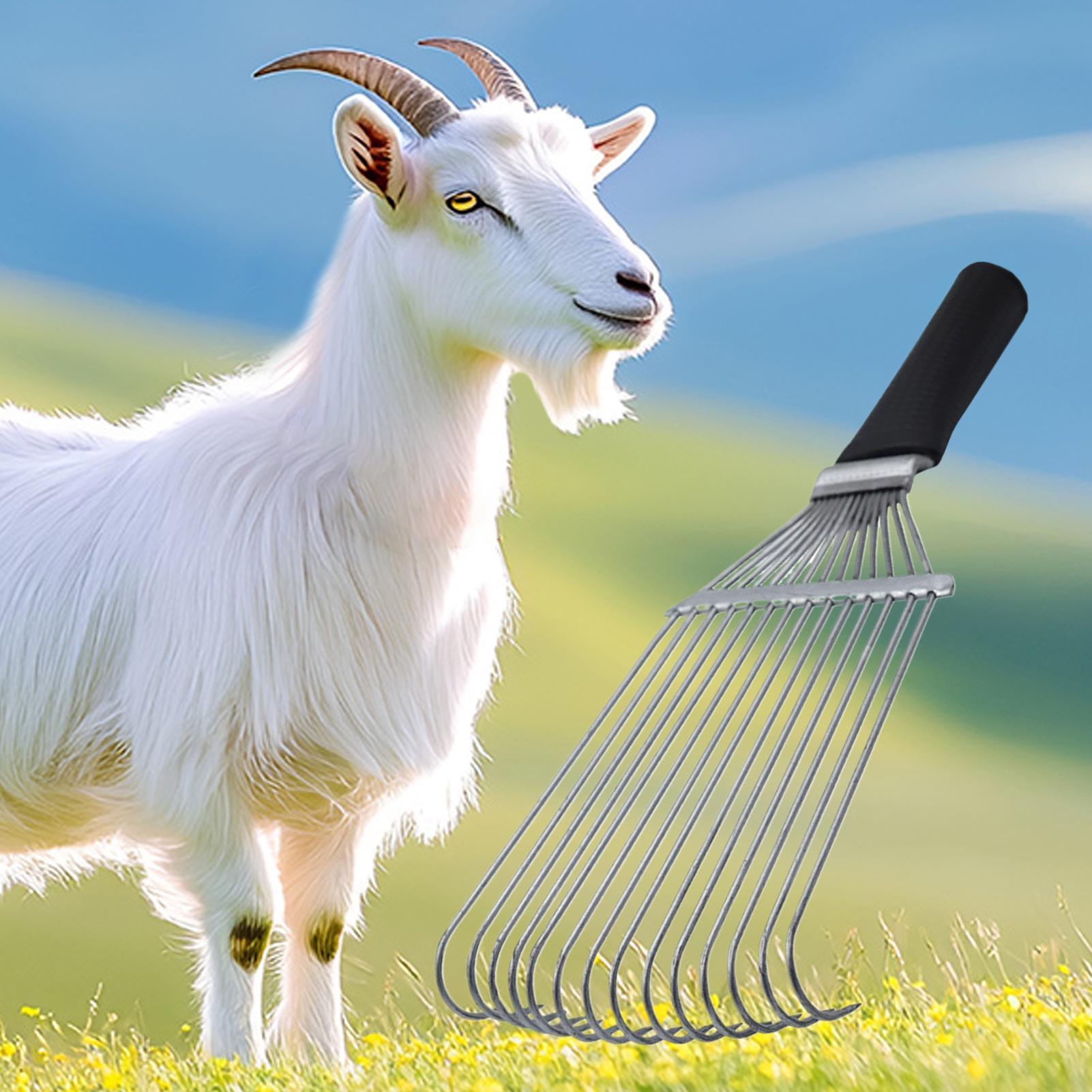 Rastrillo para el cuidado de l - Pet Grooming reseña y precio
