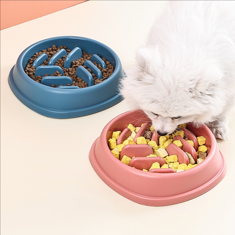 Suministros para mascotas, cue - Dog Puzzle Feeder Toy reseña y precio