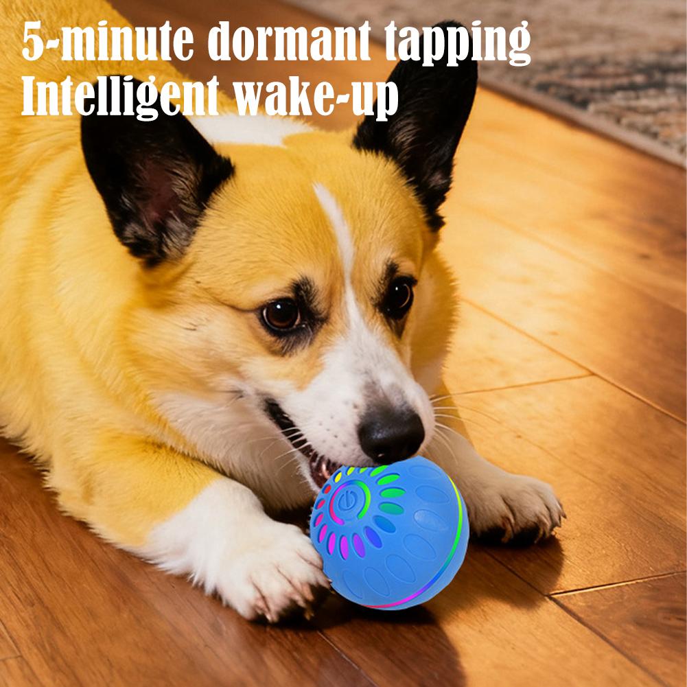 Pelota de juguete inteligente  - Automatic Moving Dog Ball reseña y precio