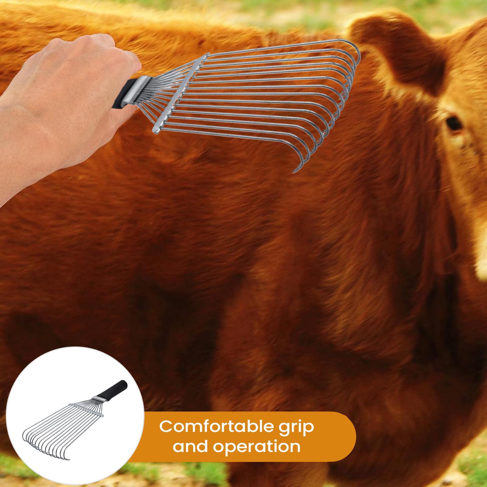 Rastrillo para el cuidado de c - Pet Grooming reseña y precio