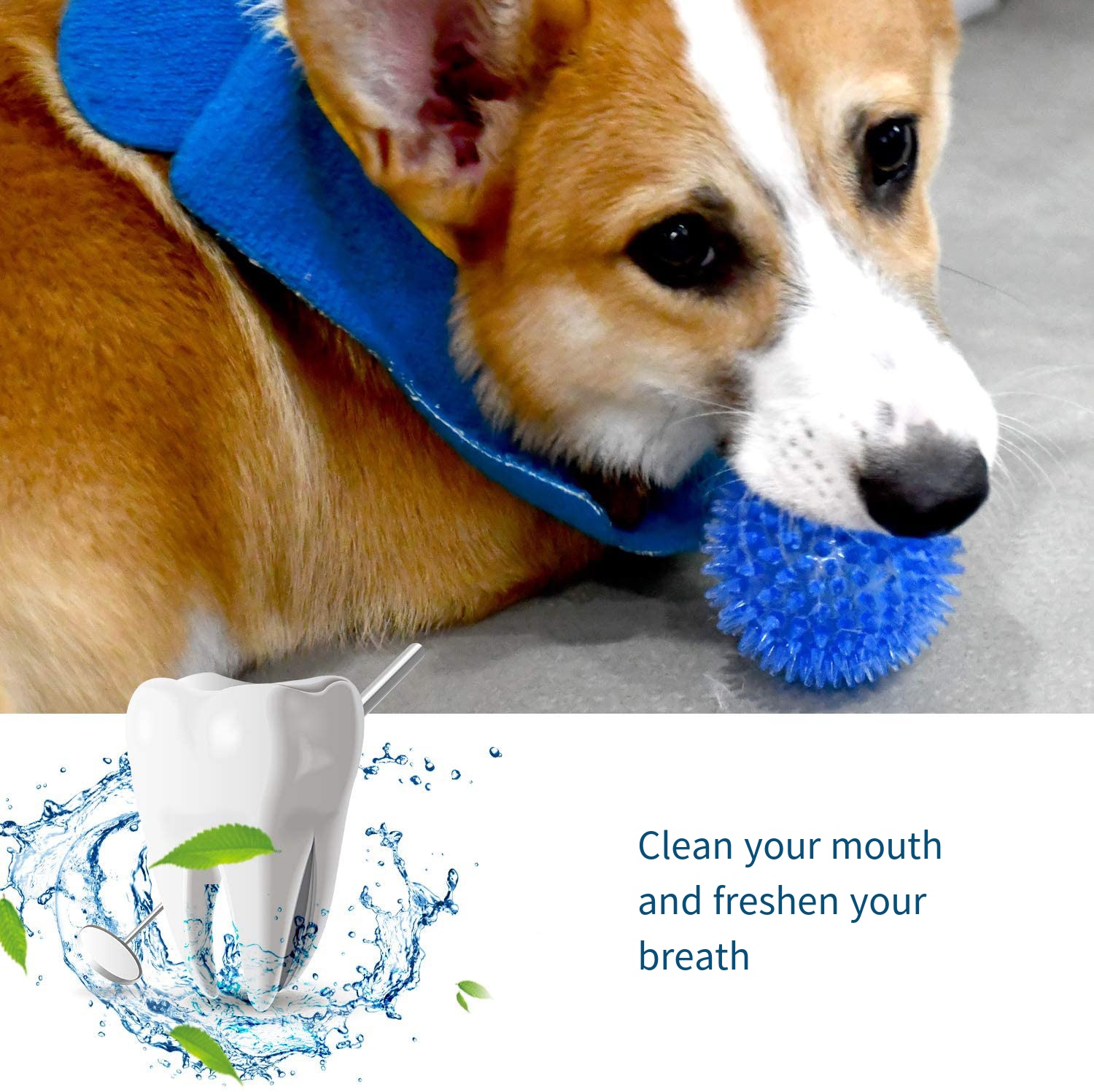 Juguetes para perros, juguete  - Suction Cup Dog Tug Toy reseña y precio