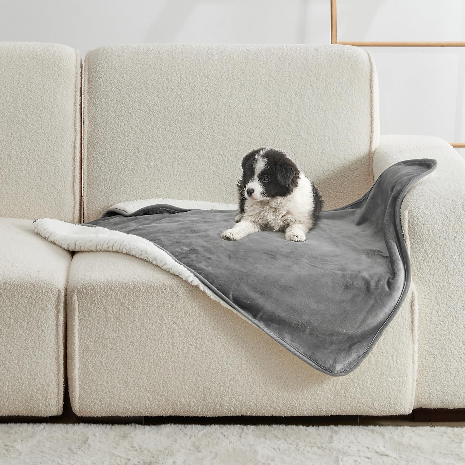 Manta para Mascotas de Color S - Pet Beds reseña y precio