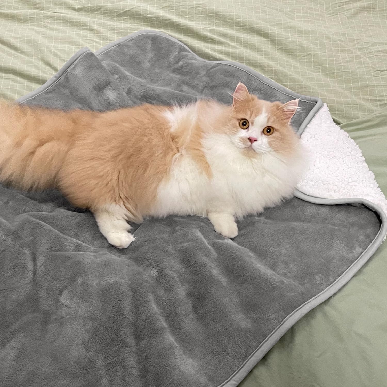 Manta para Mascotas de Color S - Pet Beds reseña y precio