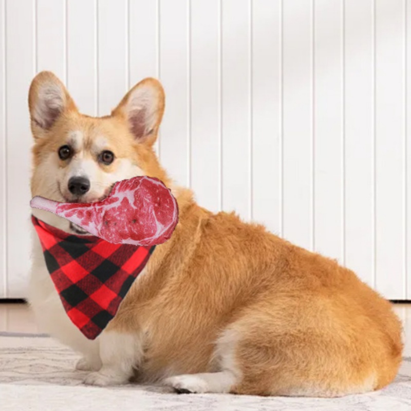 Juguete para Perros con Sonido - Teeth Cleaning Dog Chew Bone reseña y precio
