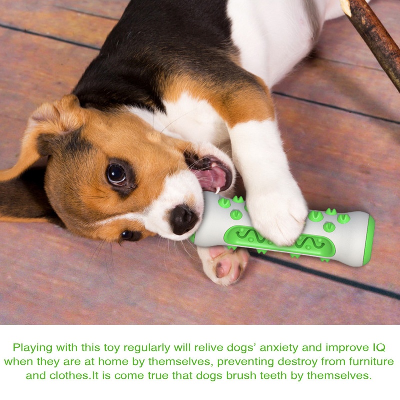 Juguete Masticable para Perros - Teeth Cleaning Dog Chew Bone reseña y precio