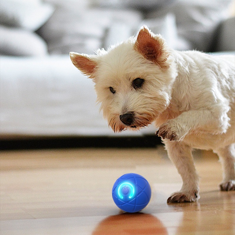 Pelota de juguete inteligente  - Automatic Moving Dog Ball reseña y precio