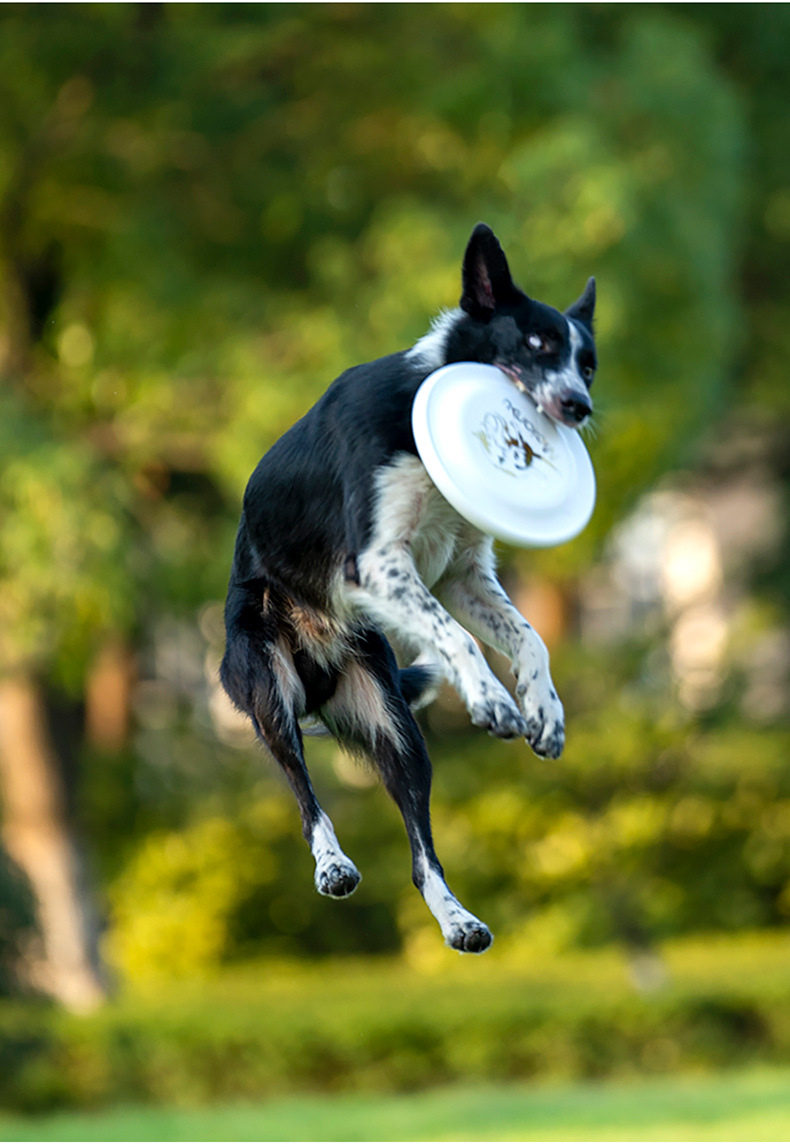 OUZEY-disco volador para entre - Flying Disc Dog Training Toy reseña y precio