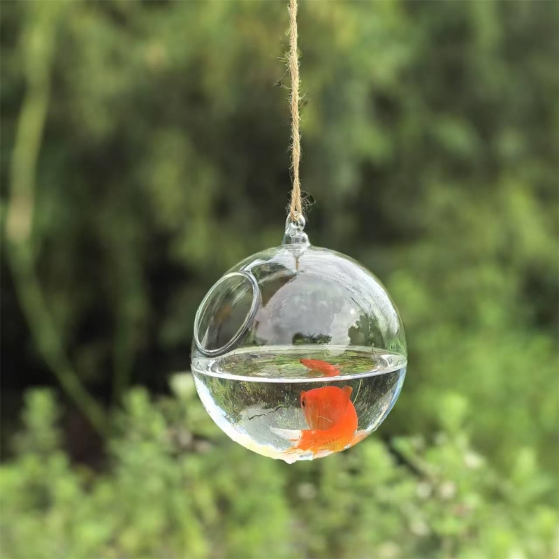 Terrario de Vidrio Transparent - Aquarium reseña y precio