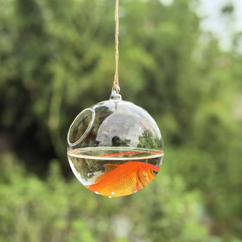 Terrario de Vidrio Transparent - Aquarium reseña y precio