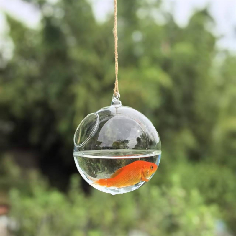 Terrario de Vidrio Transparent - Aquarium reseña y precio