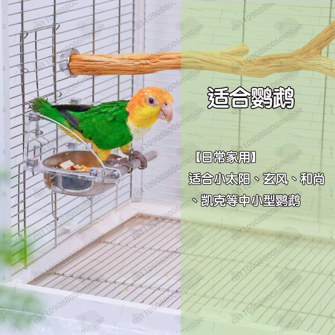 Comedero para Loros de Acero I - Pet Feeders reseña y precio