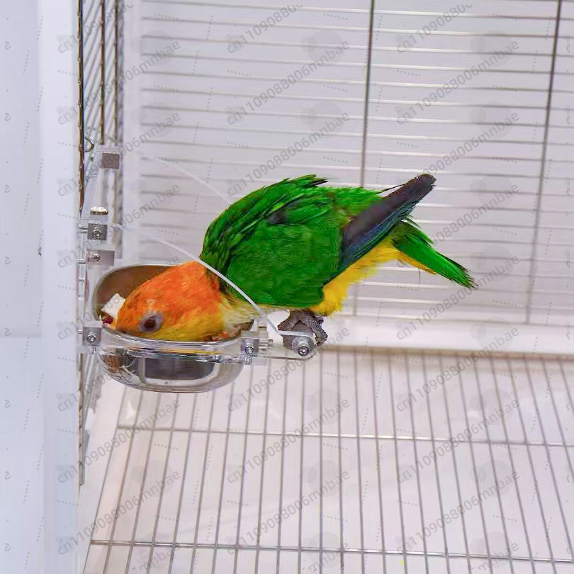 Comedero para Loros de Acero I - Pet Feeders reseña y precio