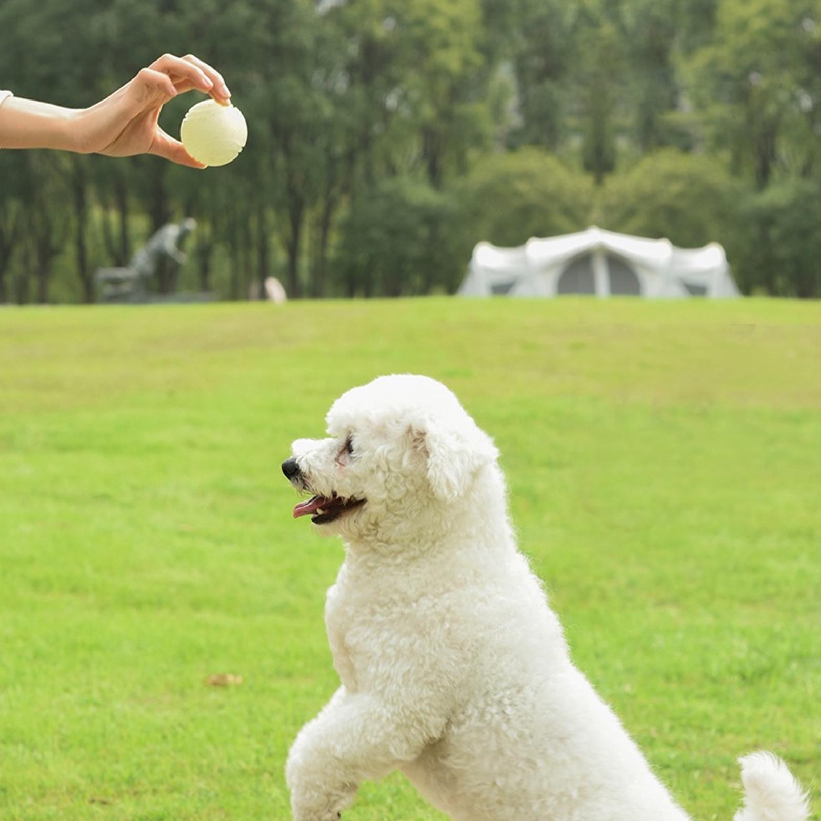 Pelotas de juguete para perros - Dog Rope Toy Aggressive Chewers reseña y precio