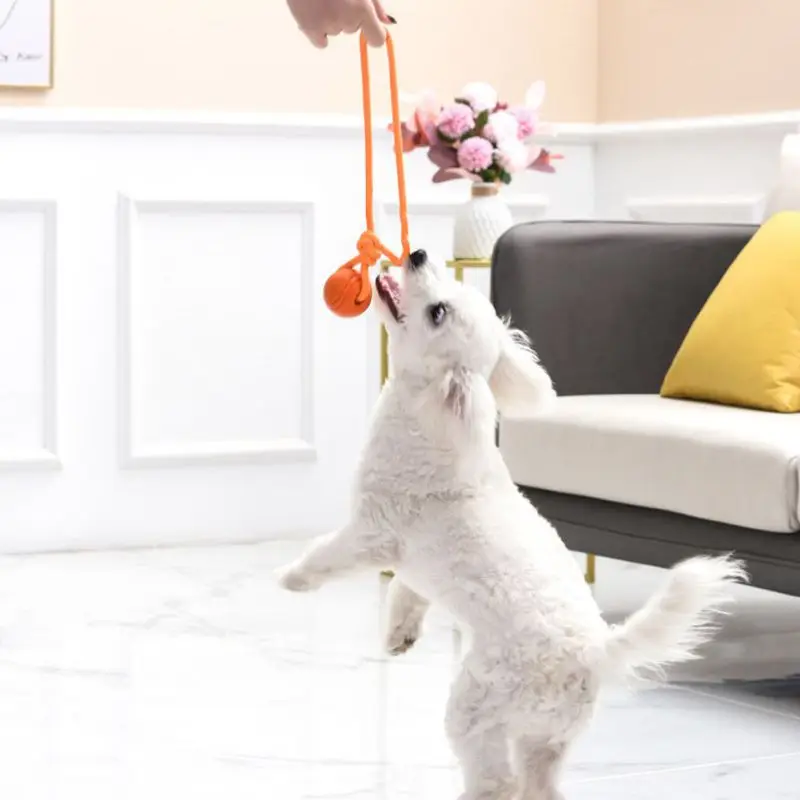 Pelota de entrenamiento para p - Suction Cup Dog Tug Toy reseña y precio