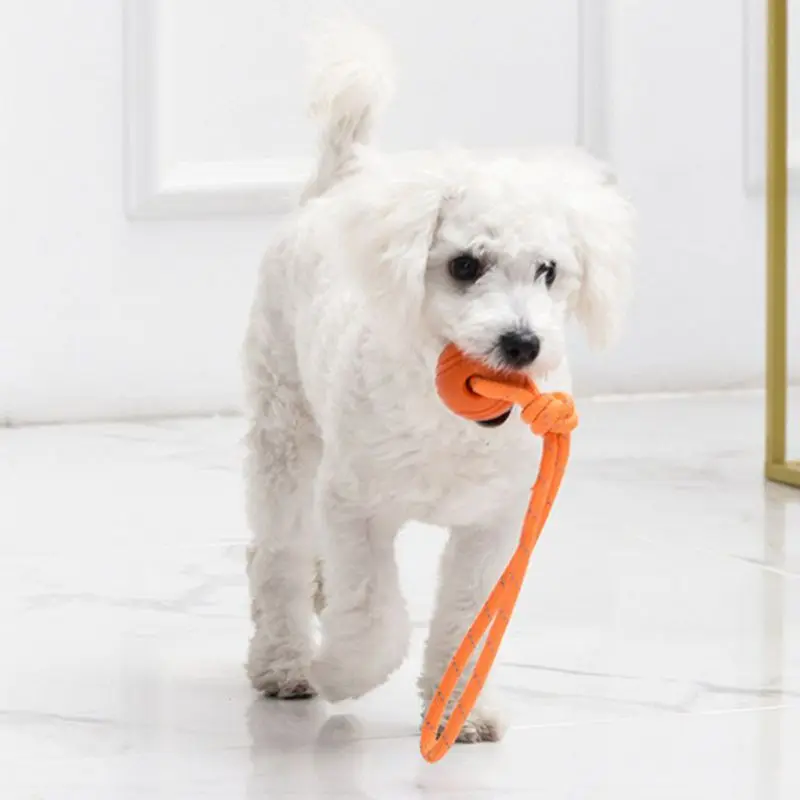 Pelota de entrenamiento para p - Suction Cup Dog Tug Toy reseña y precio